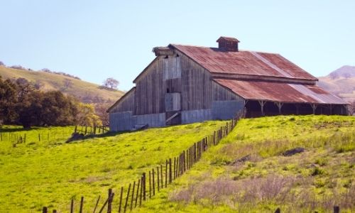 Spring on the Farm